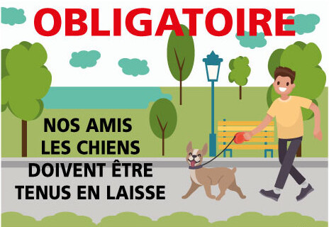 les chiens doivent etre tenu obligatoirement en laisse